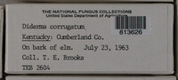 Image Associated With the Occurence